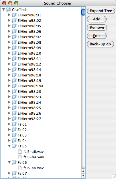 EditWindow