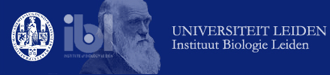 IBLlogo
