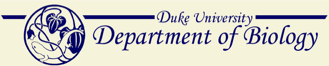 DukeLogo